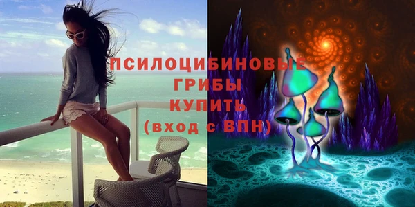 прущие крисы Алексин